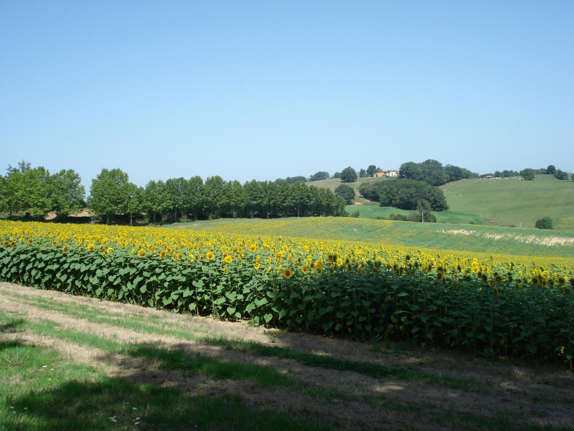 Relais Du Chateau Hotel Saint-Blancard Luaran gambar