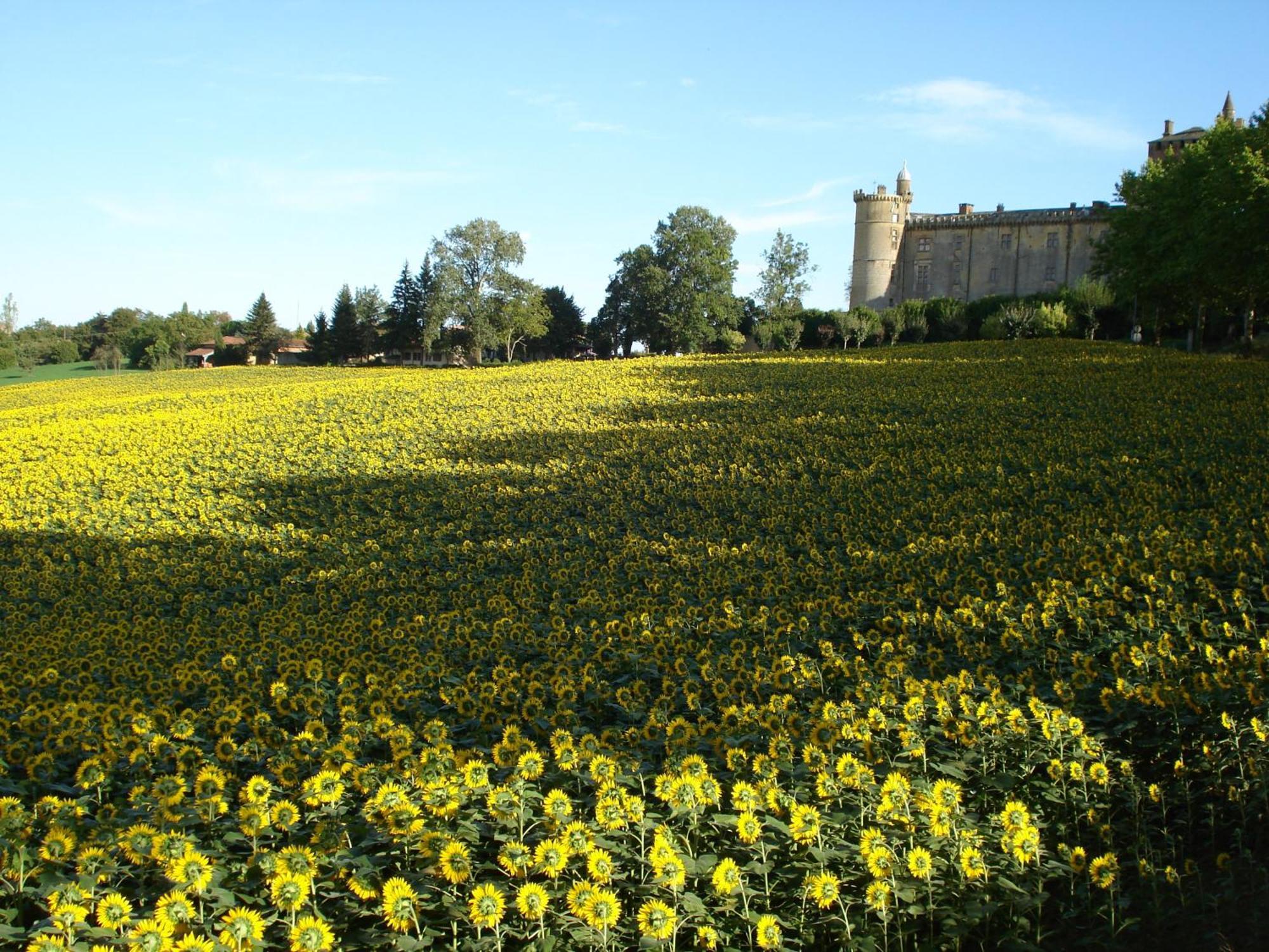 Relais Du Chateau Hotel Saint-Blancard Luaran gambar